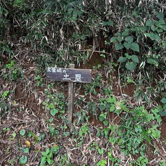 宝筐山は山城があったのだそう