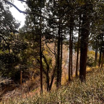 ちなみに反対側は来た道路が見えるだけ