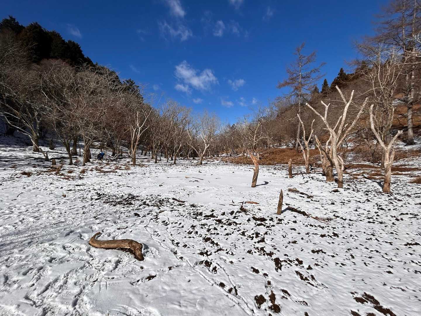 富士見岳-駒引峠 周回コースの写真