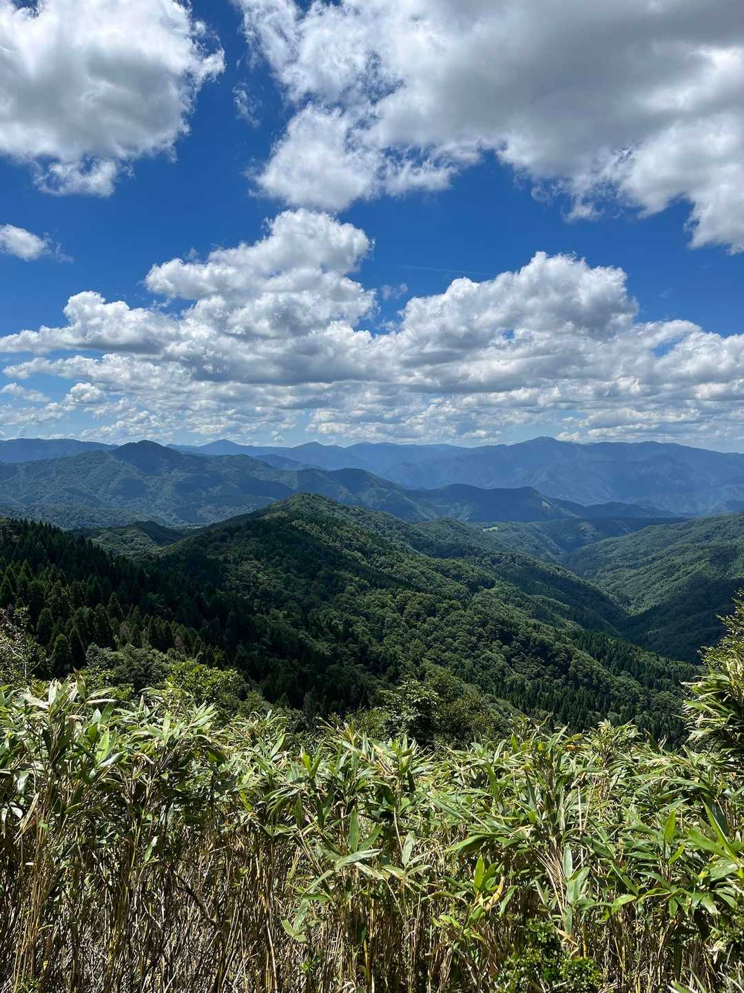 ふるさとの森登山口-扇ノ山 往復コースの写真