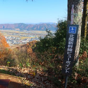 らしいですが、遠すぎてあまり見えそうも…😅