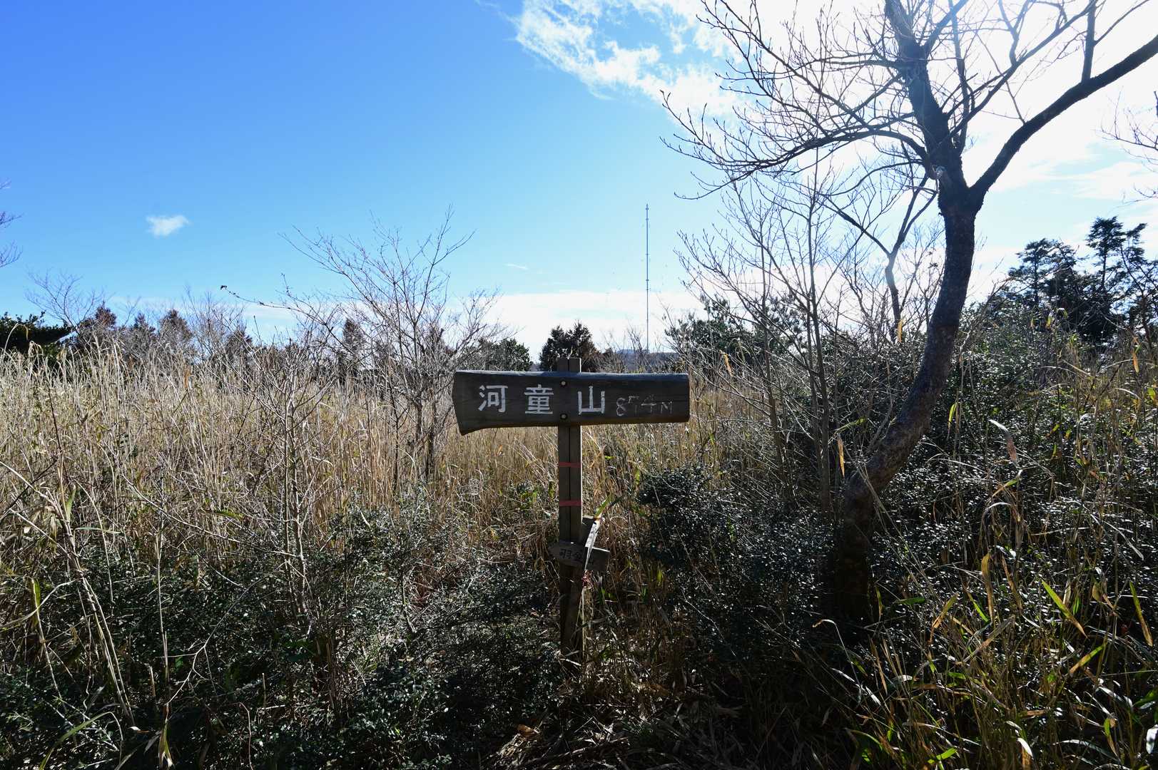 河童山の写真