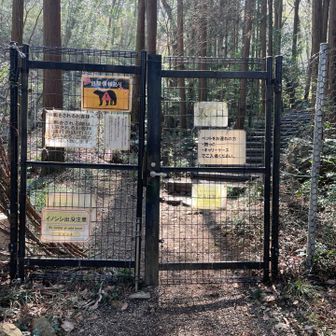 さぁ、入りましょう。