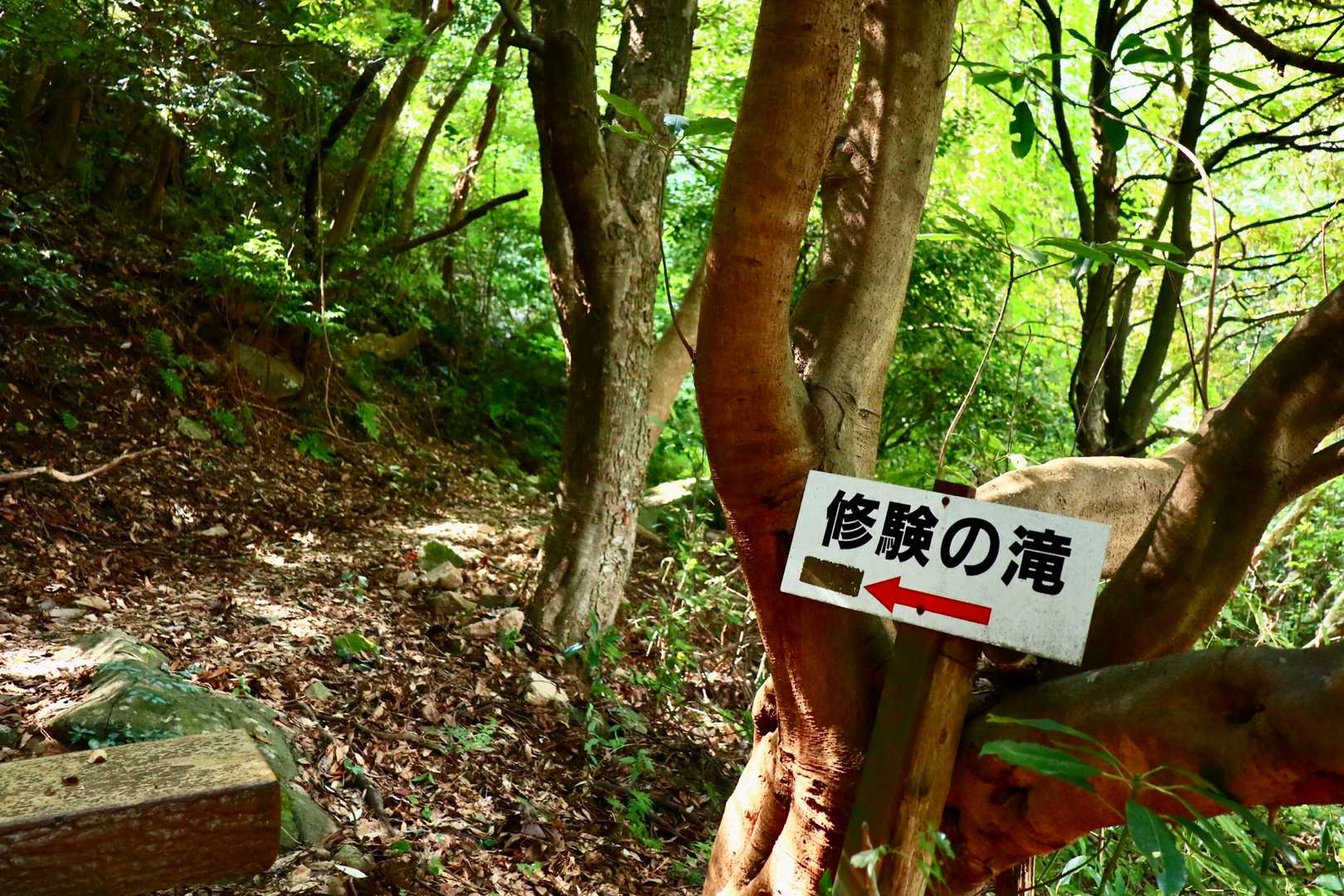 …という訳で、今回の山行は巻きに巻いていかんと間に合わんぜよ…。