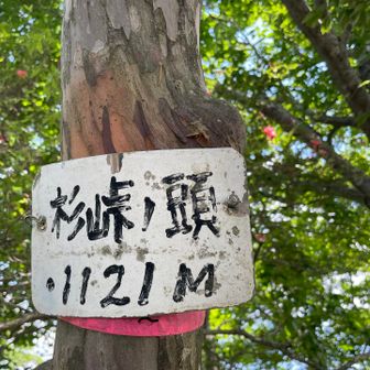 杉峠ノ頭1121m⛰️