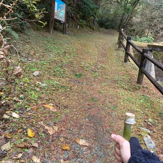 竹杖。指に水膨れ…