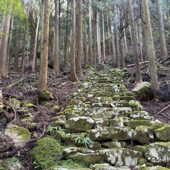 次の神社への石段
一番勾配あり笑
