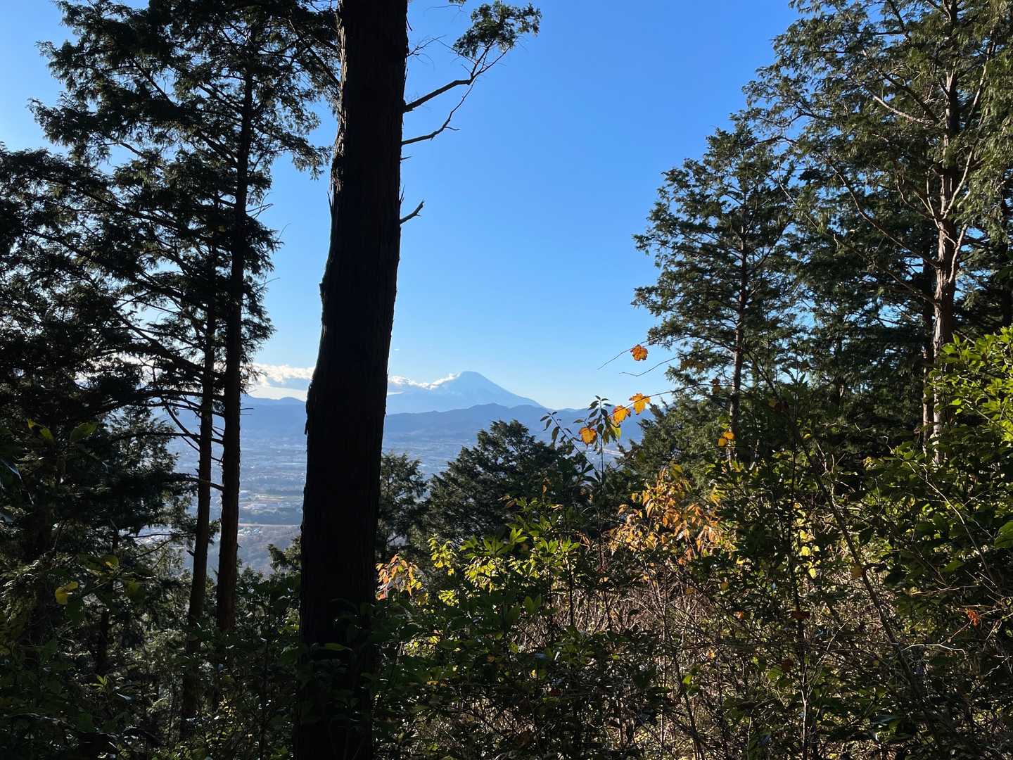富士山ビュースポット