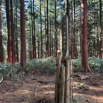 南葛城山のピークを取って