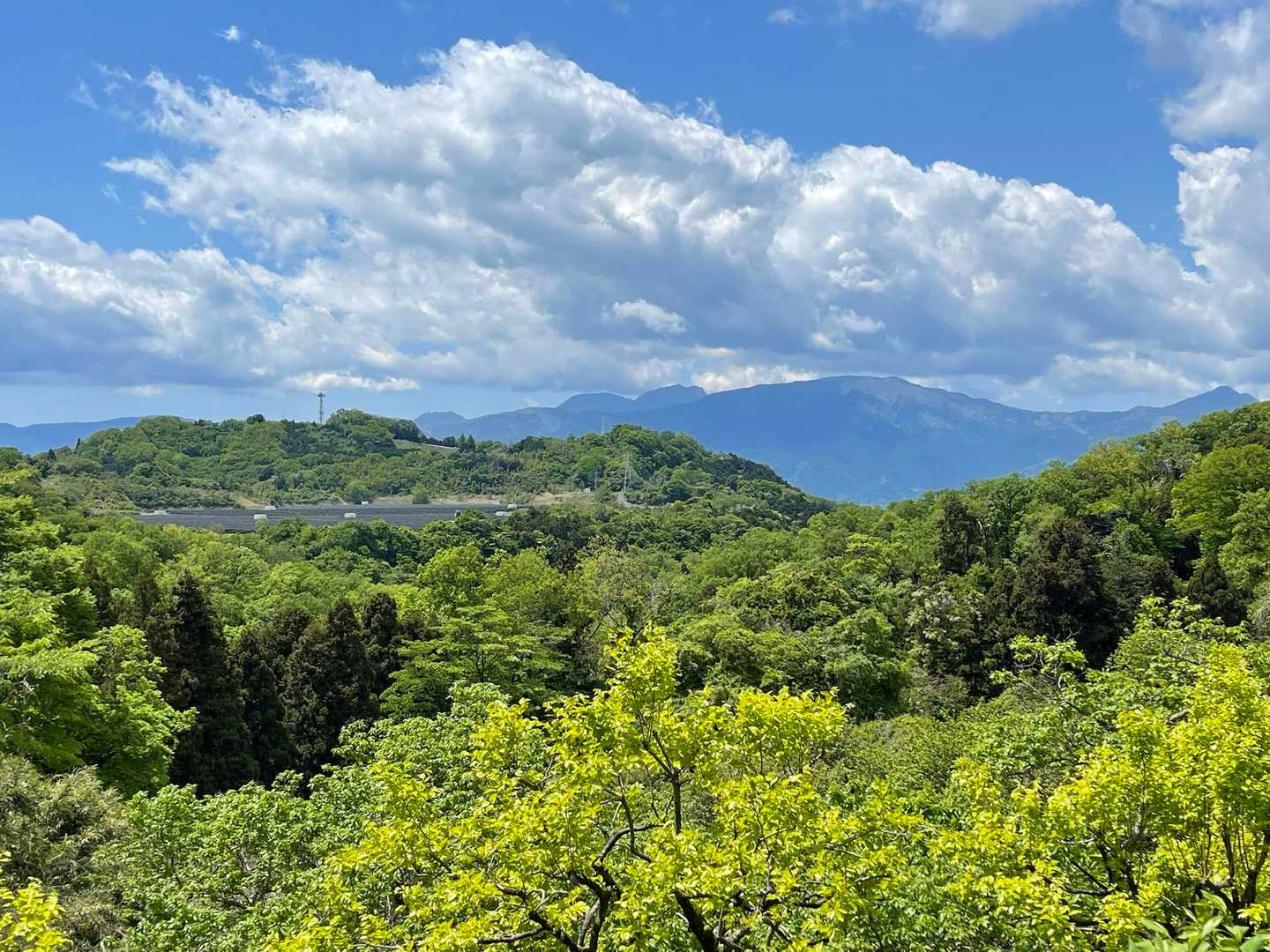 箱根の山が見えてます