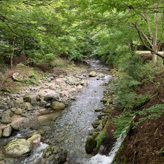 そしてタフでした。又、頑張りましょう！