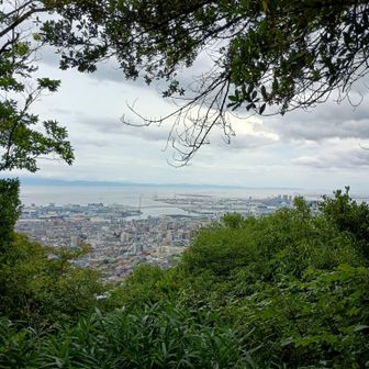 登山口から城山までは10分ほどで到着。
歩きやすくて快適な道。ありがとう。