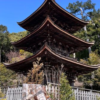 山里の六条八幡宮の塔