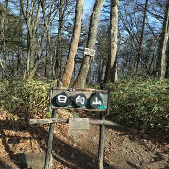 せっかくなので三角点に立ち寄りました。（ルートからほんの少し右に外れたところにあります。標識あり。）