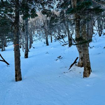 さて、ここからノートレス、ラッセル登り祭り。
前白根山へ。