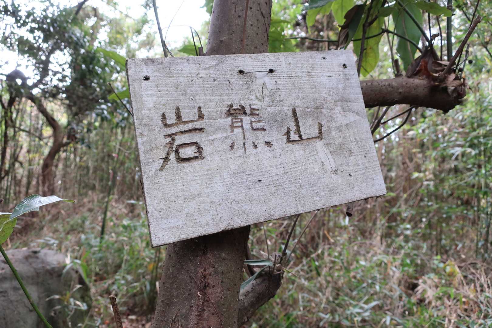 岩熊山到着（2回目）