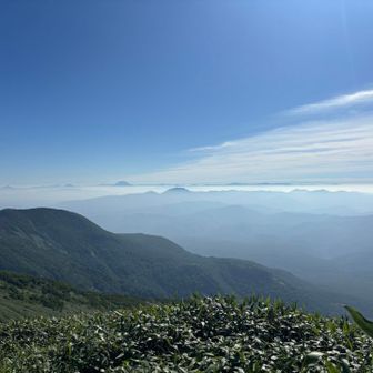 羊蹄山🤗