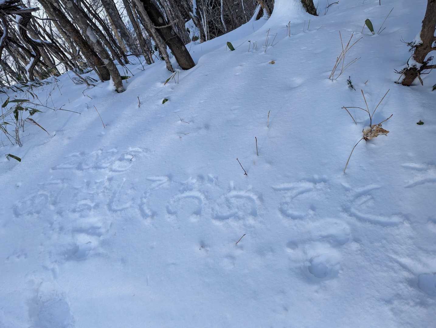 誰もいないのをいいことに、頂上手前の雪面に書き初めしてみました✨