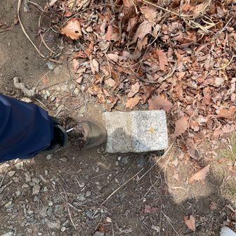 三角点ありました