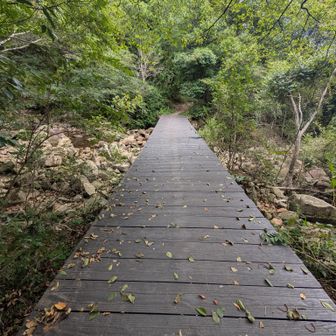 広い橋
