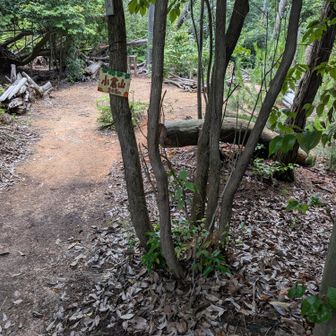 小倉山も行ってみた