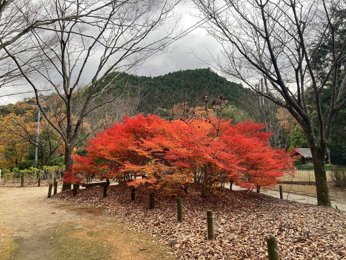 下山の時も