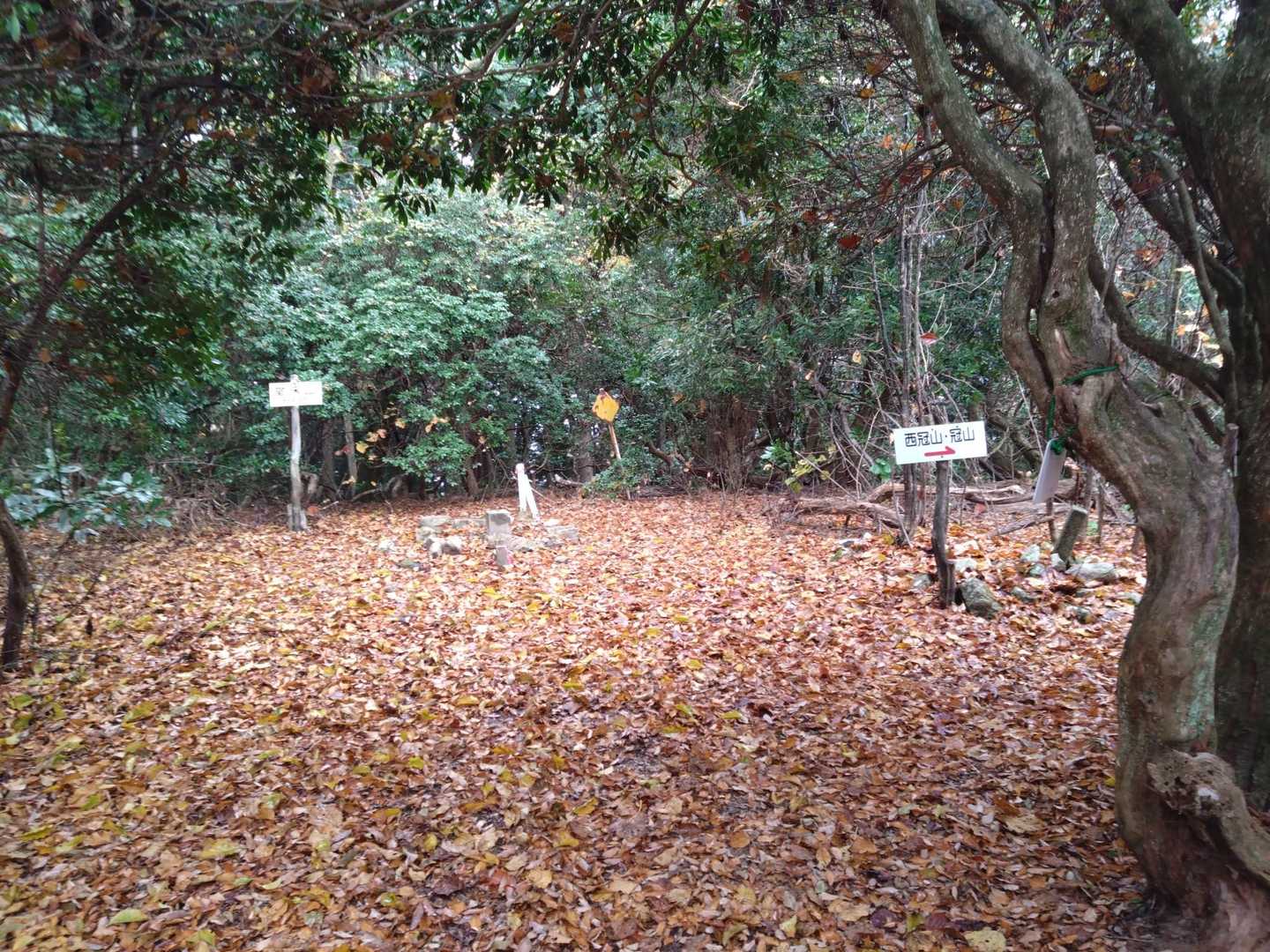 堂床山頂。木々に囲まれ広々しています。案内板を右側に進み、西冠山へ縦走です。