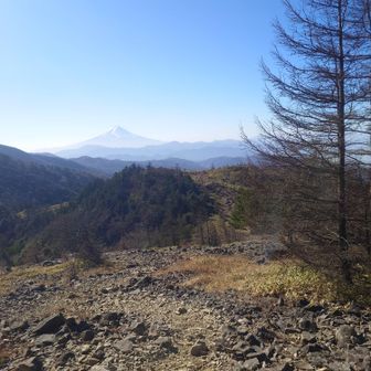 メッチャ新鮮！いつもと違う景色✨️