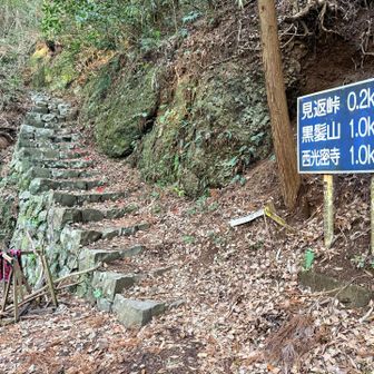 ここから登っていく