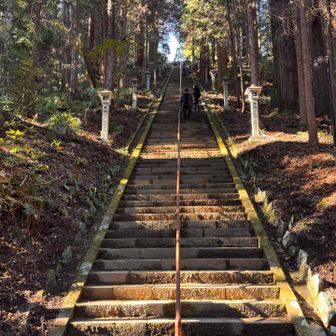 登りはキツそう