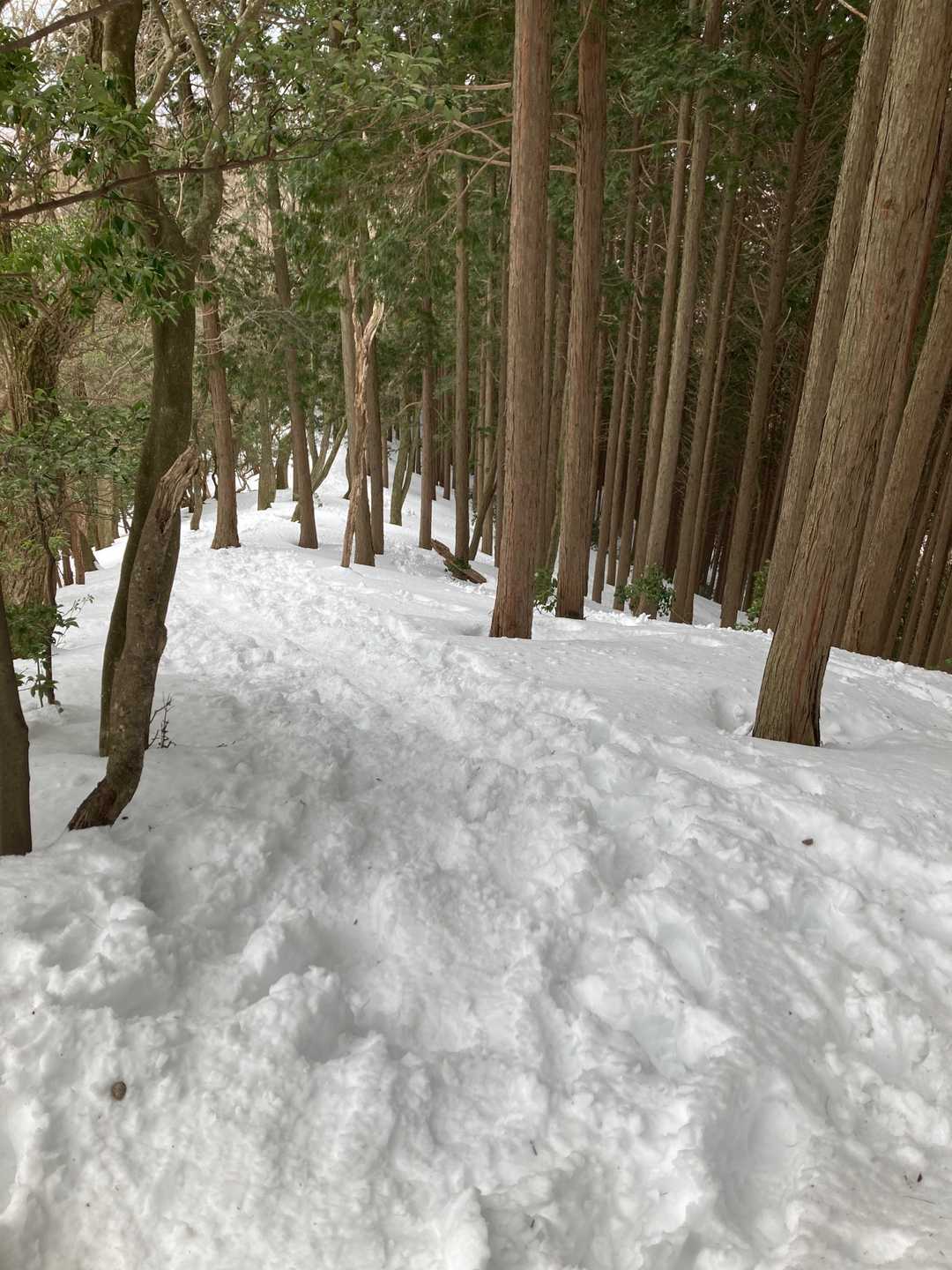 ここ、帰りヒップソリで🛷
おもしろーー！木に激突直前