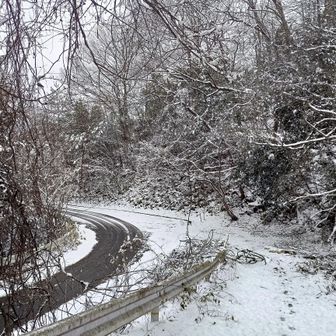 下りも転倒したり滑ったりすることなく無事に舗装路に合流。