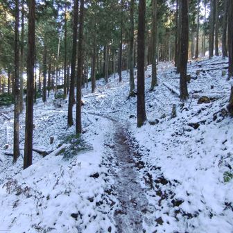 登ってきたコースに向います