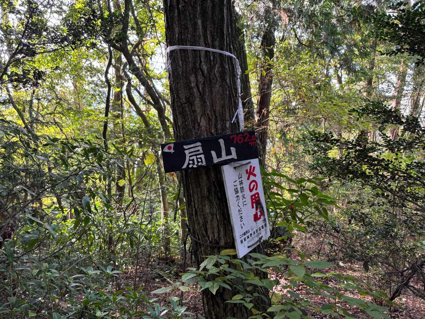 扇山山頂。眺望無し。