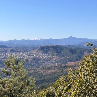 ⛩️黄刀比羅神社からの🗻富士山