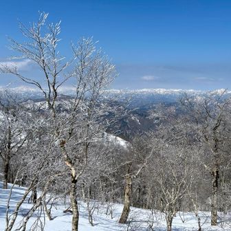 山頂から越後山脈