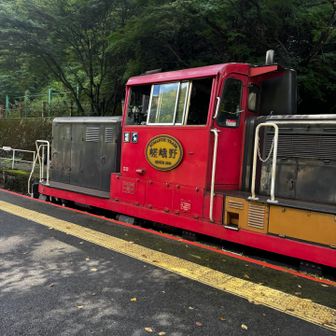 トロッコ電車きた