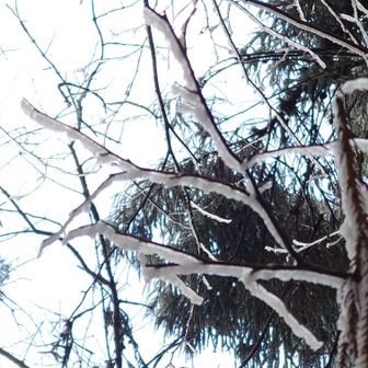 金剛山・二上山・大和葛城山 樹氷✨