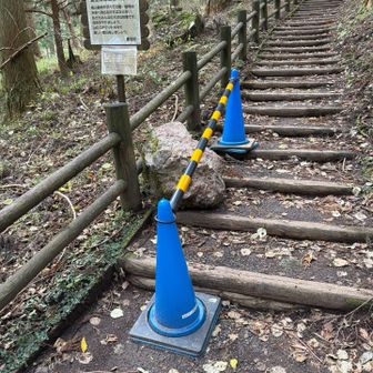 落石🪨落岩🪨