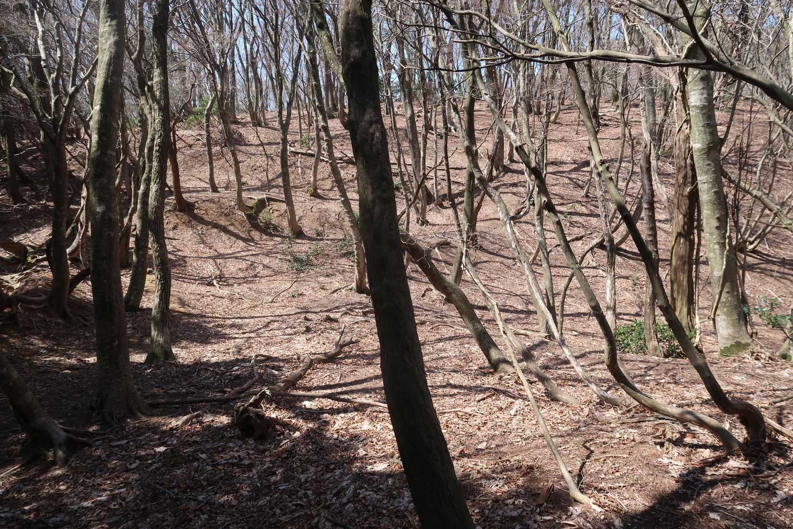 これより前田利家の陣地へ