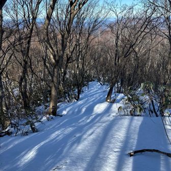 わかりやすい道