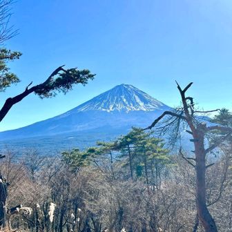 紅葉台から見た富士山②