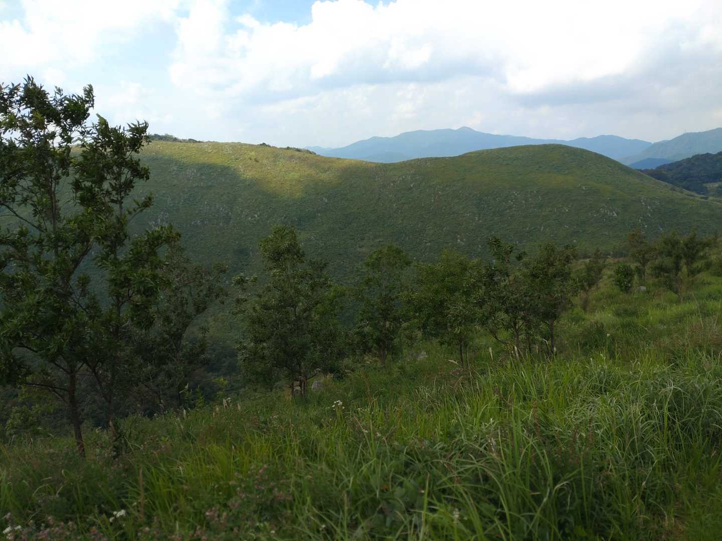 長者ヶ森登山口-地獄台-冠山-北山 周回コースの写真