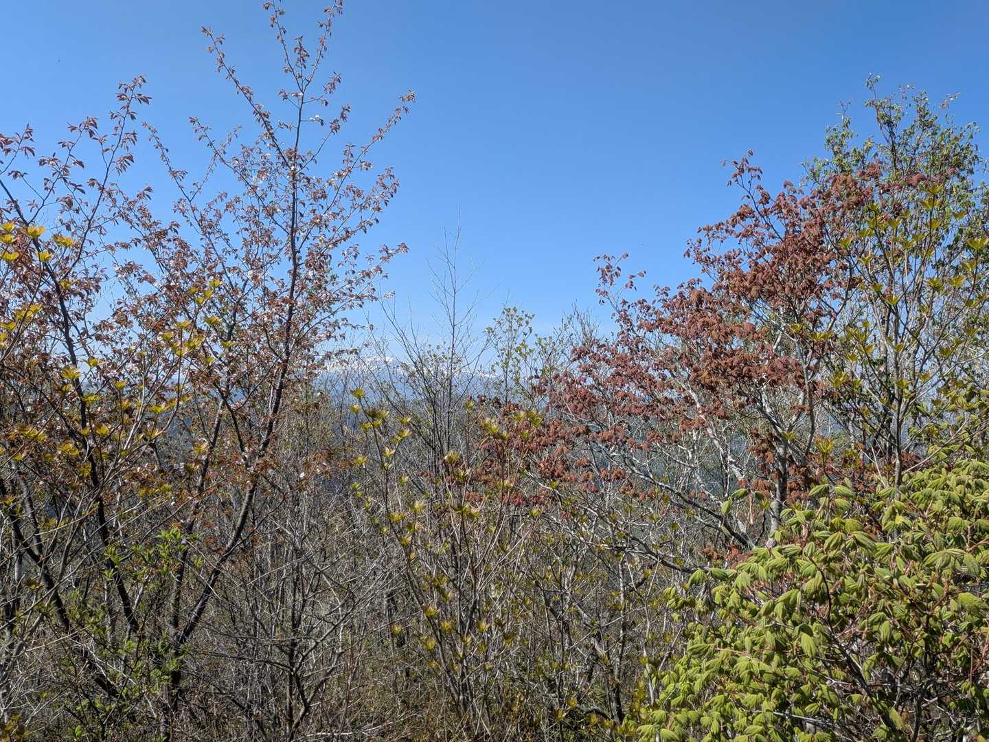 見えづらいけど栗駒山