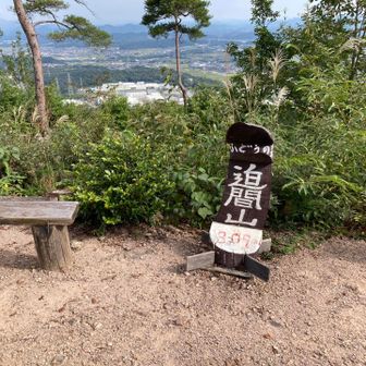 ベンチもたくさんあって休めます。