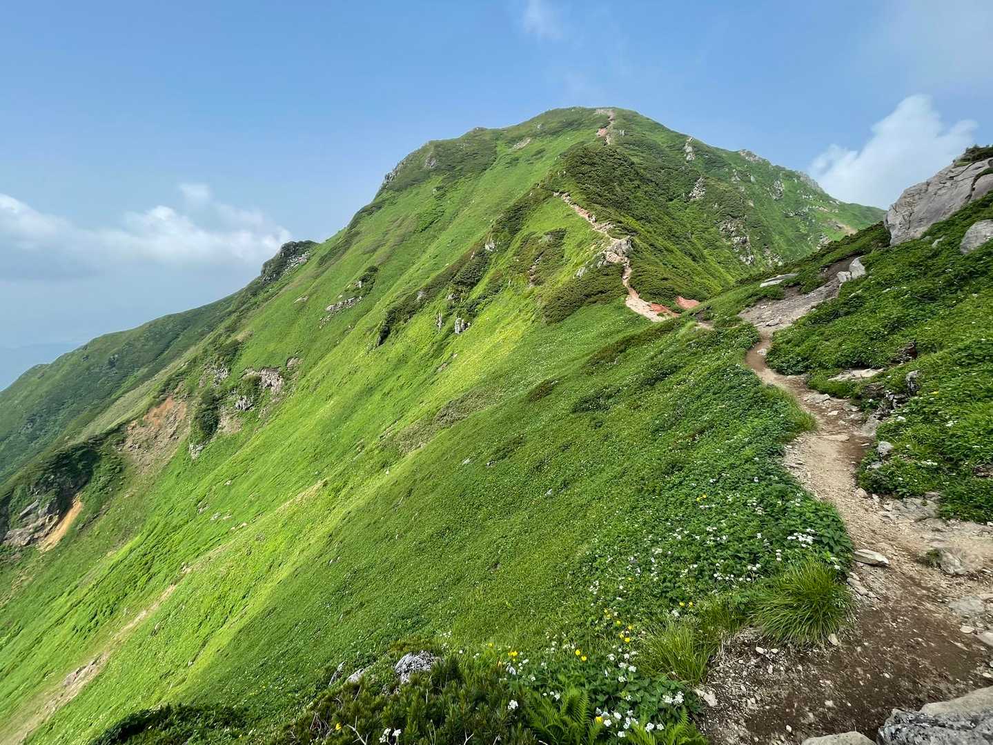 富良野岳往復 | 十勝岳温泉から楽しむ、雪渓とお花畑の山の写真