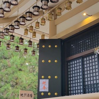 侵入しました😅