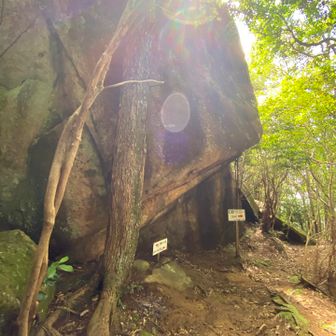 真ん中の看板近くにガラス瓶の破片が落ちてました