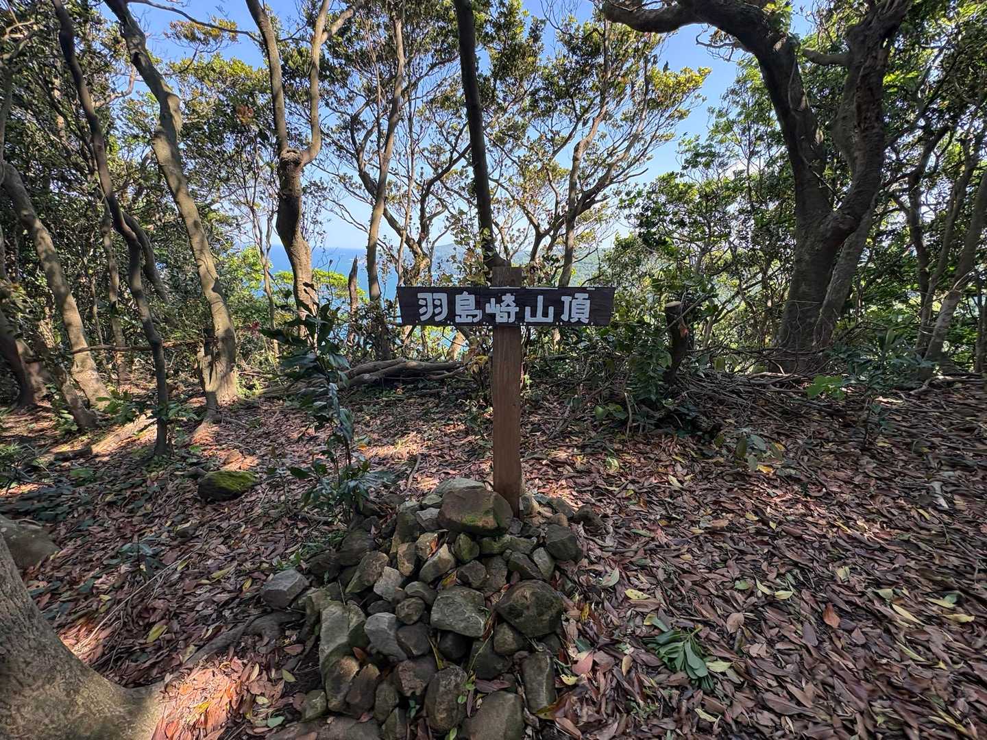 羽島崎⛰️ 到着

ピーク1️⃣