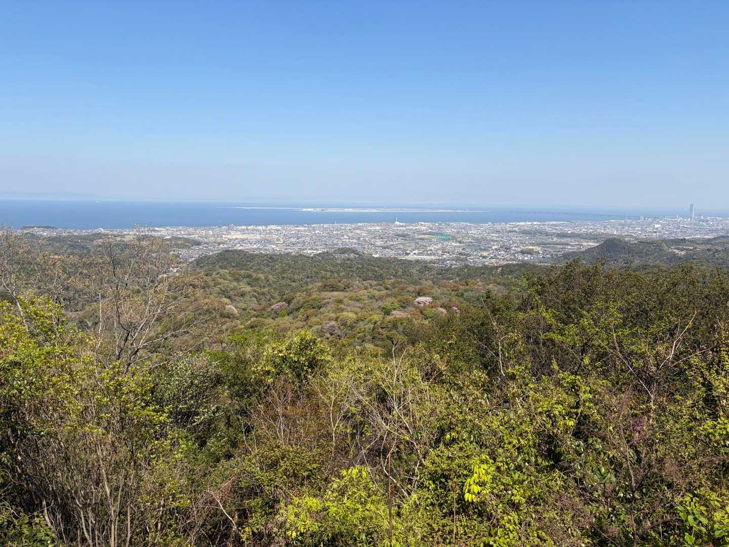 青空が広がって気持ち良い！